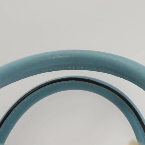 LOEWE Anagram Amazona 28 Hand Bag Leather Light Blue Gold - Picture 11 of 16